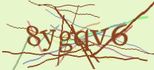 Проверочный код